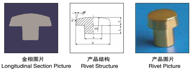金相圖片,產(chǎn)品結(jié)構(gòu),產(chǎn)品圖片